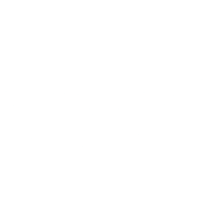 SPECIAL JURY PRIZE / NewImages Festival Paris (France), 2019 award logo
