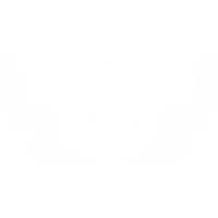  Guanajuato International Film Festival (Mexico), 2022 award logo